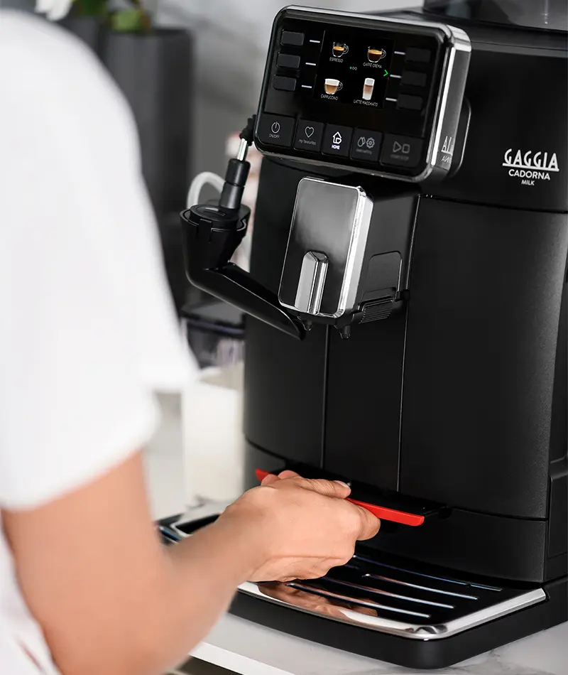 Gaggia-Cadorna-Milk-2