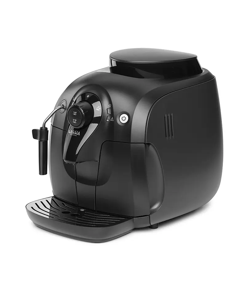 Gaggia-Besana-1