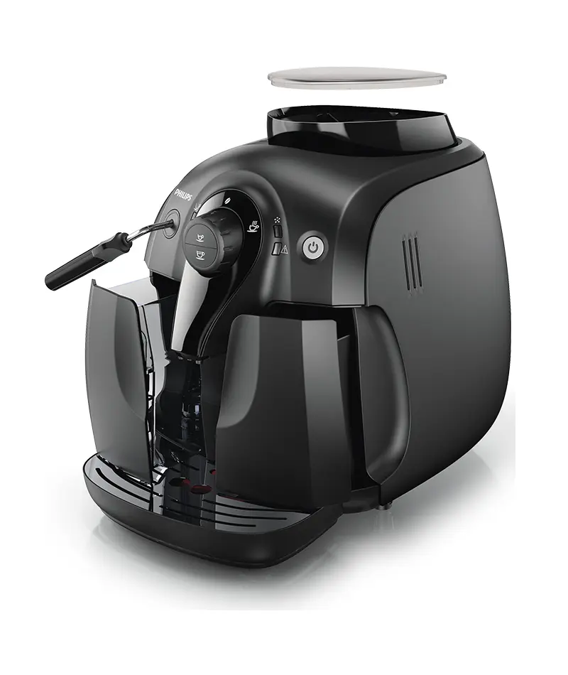 Gaggia-Besana-2