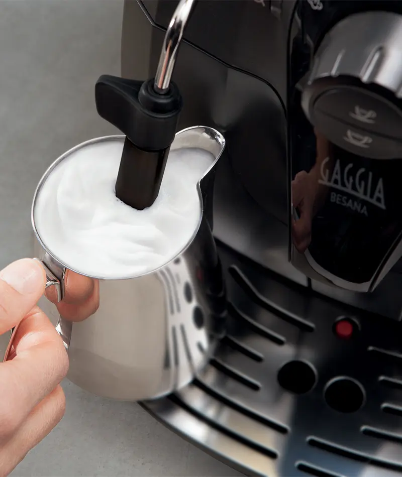 Gaggia-Besana-4