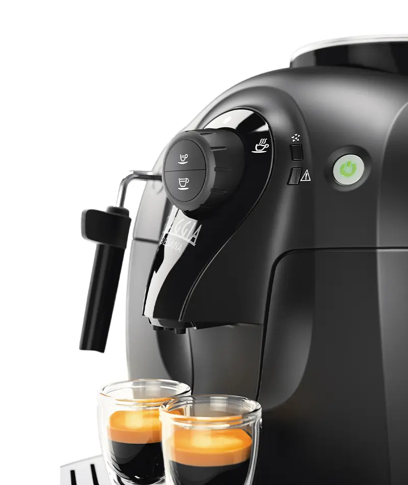 Gaggia-Besana-5