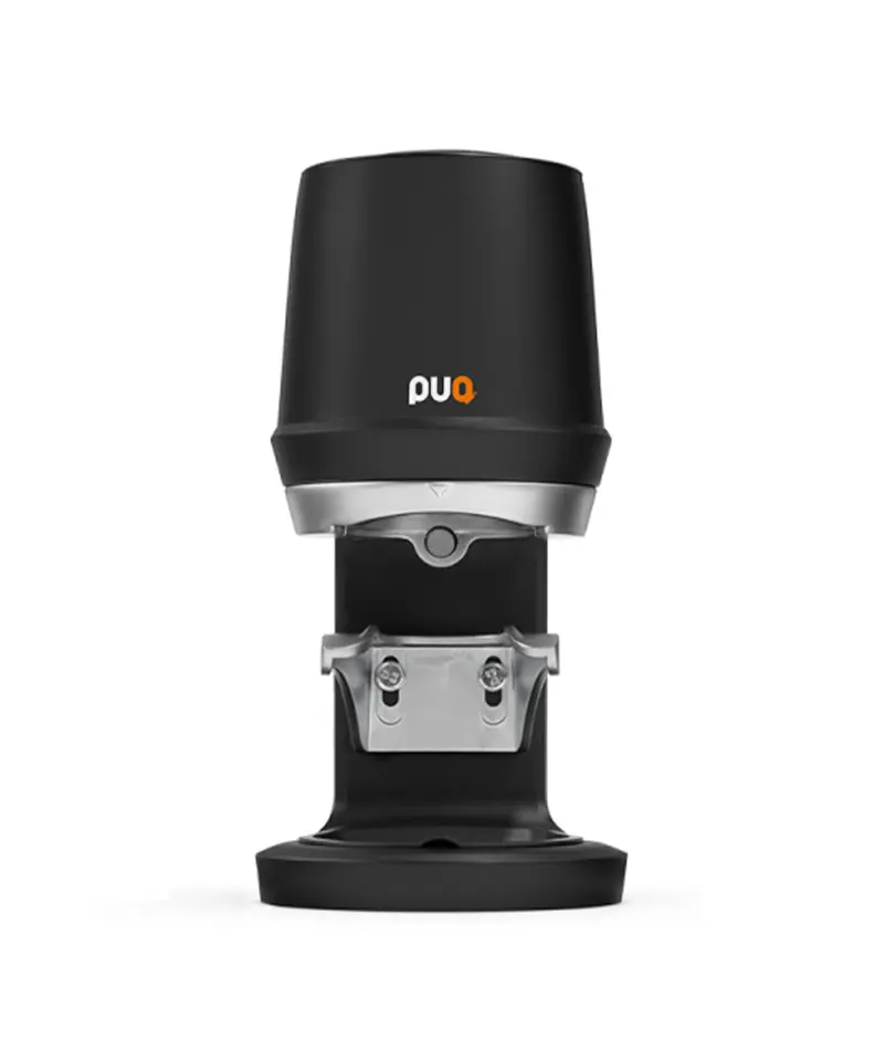 PUQ-Q1